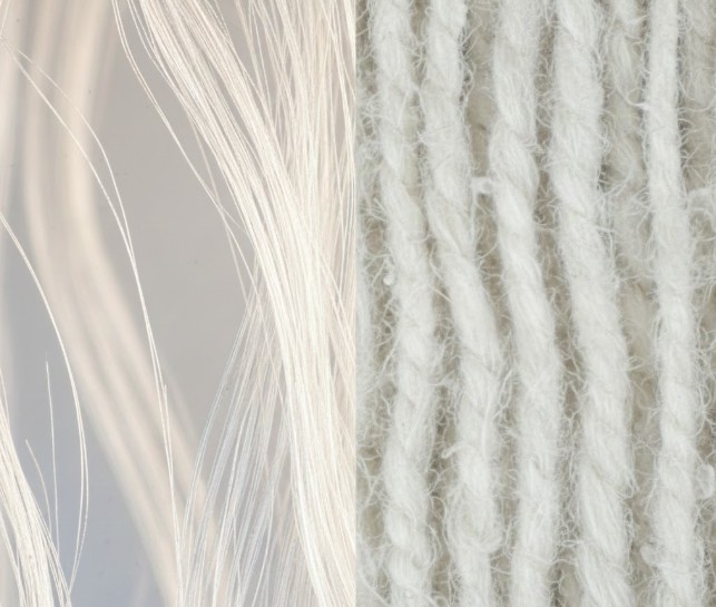 最高品質のカシミヤ繊維の細さ（マイクロン）と通常のウール繊維との違いを強調した顕微鏡による拡大イメージ