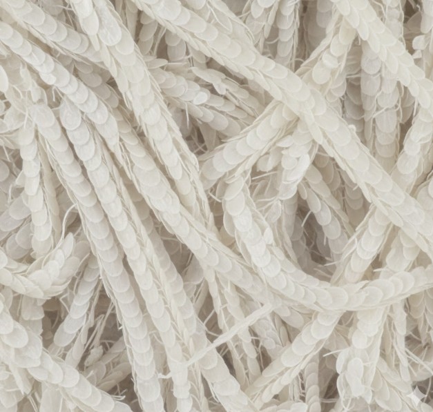 拡大されたカシミヤ繊維の表面にあるウロコ状のスケール(キューティクル)。フェルト化前の繊細な状態を示す。