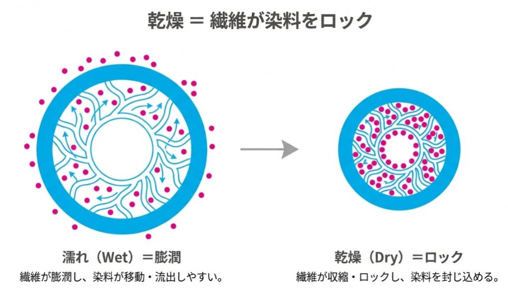 繊維が水で膨らみ（膨潤）染料が入り込む様子と、乾燥して繊維が縮み（収縮）染料が閉じ込められる様子を比較した図解