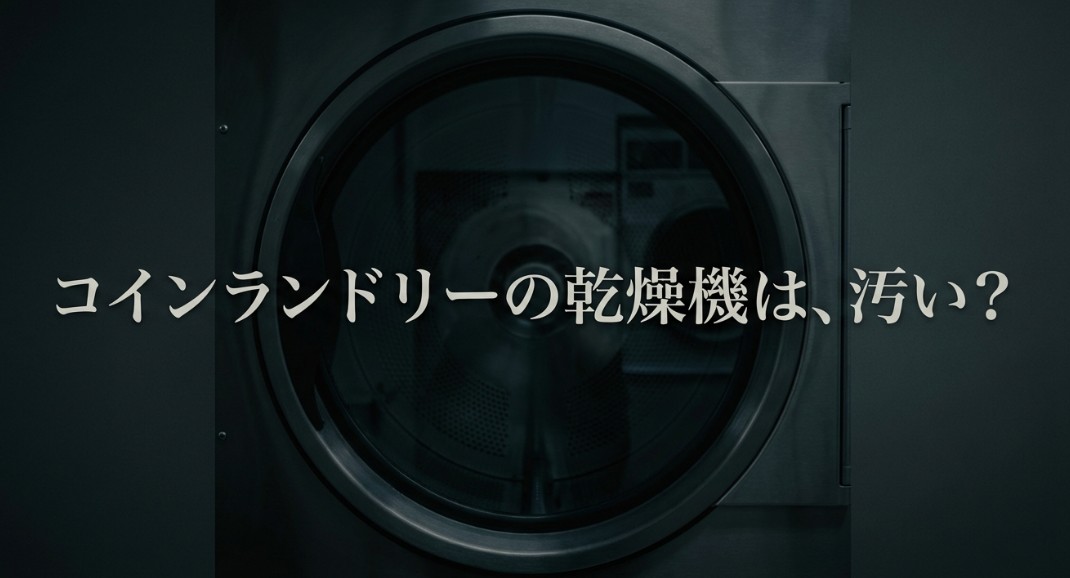 コインランドリーで乾燥機だけ使うのは汚い？衛生面の実態と対策
