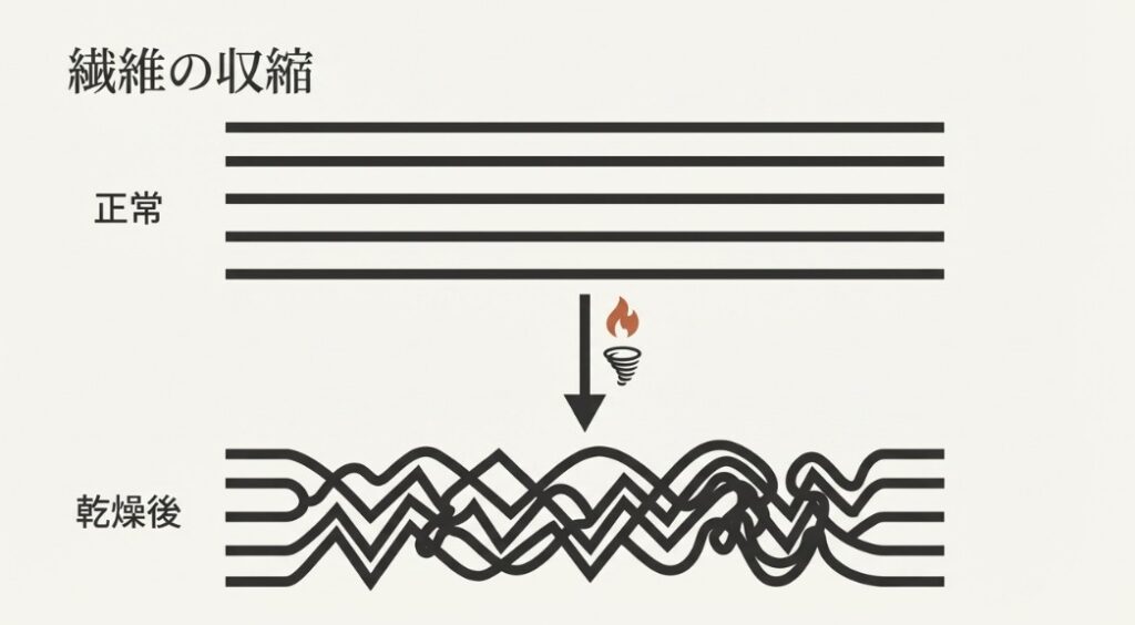 綿や麻など天然素材が乾燥機で激しく縮む理由