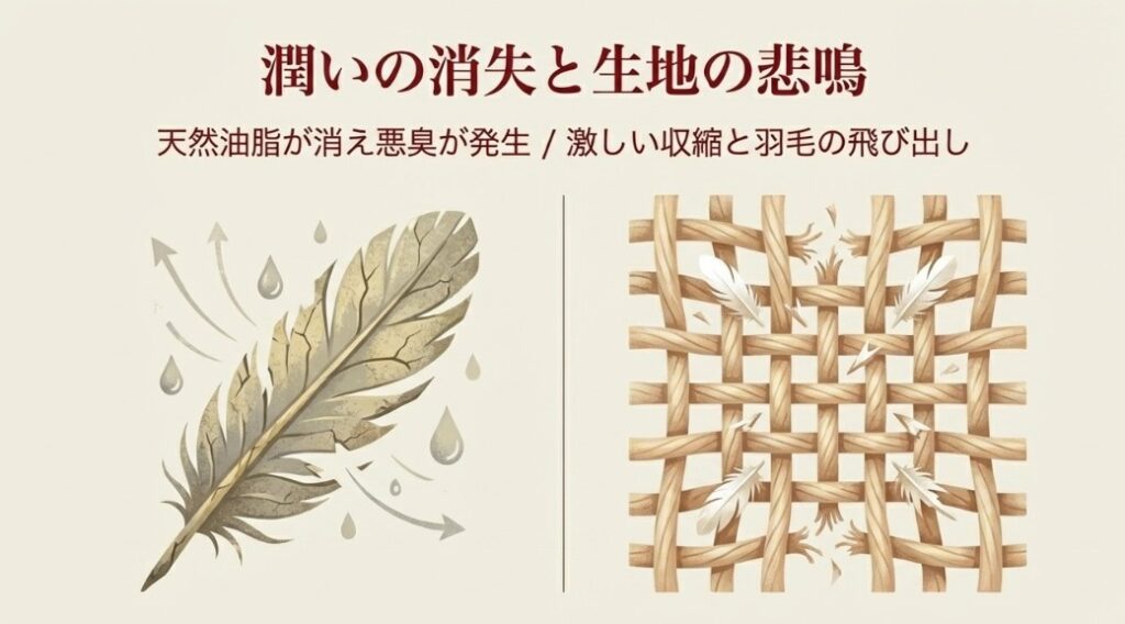 天然油脂の消失が招く弾力性の低下と獣臭のリスク